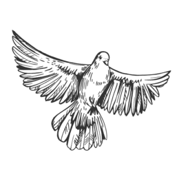 Grafik eines fliegenden Vogels mit ausgebreiteten Fl&uuml;geln auf schwarzem Hintergrund.